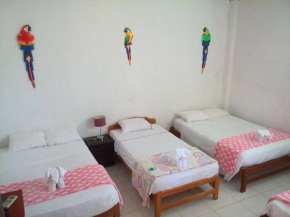 Ayahuasca Hostel